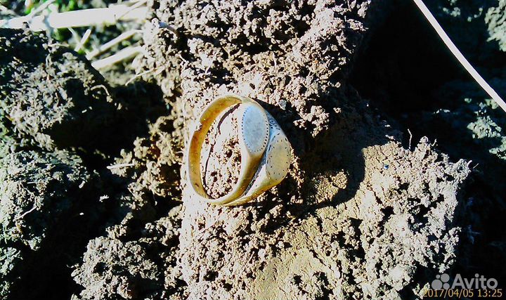 Металлоискатель garrett ace 250