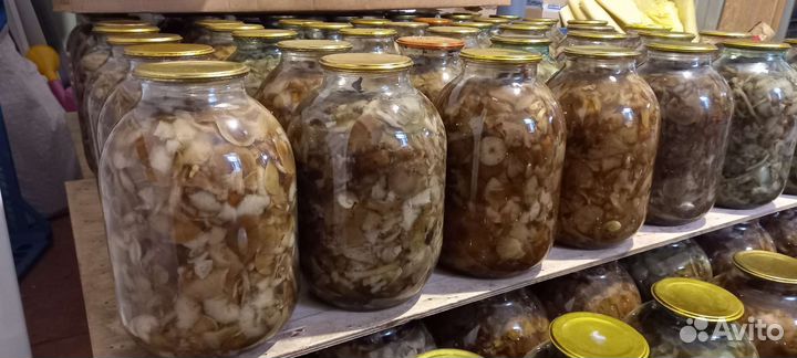 Грибы маринованные