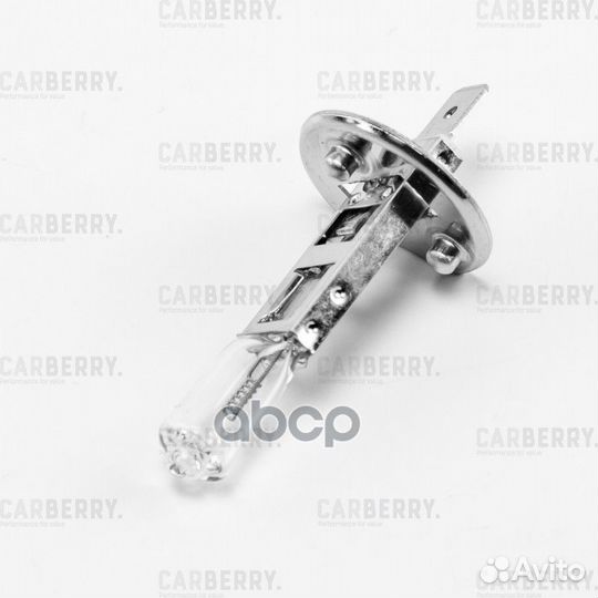 Лампы 31CA50 carberry