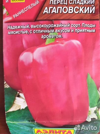 Рассада красного перца