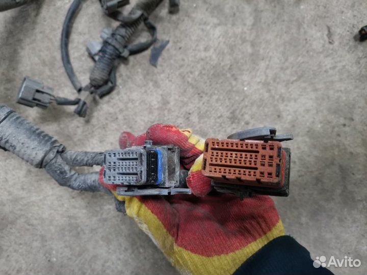 Проводка двс Nissan Tiida хэтчбек HR16 2007