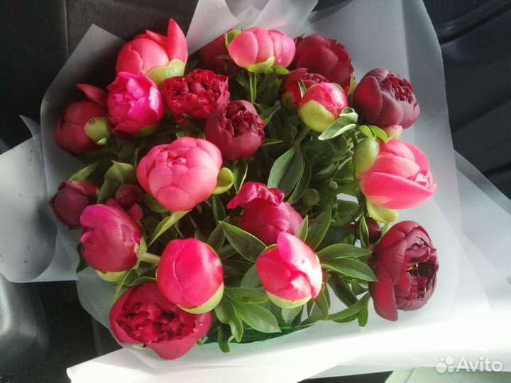Пионы на срез, букет