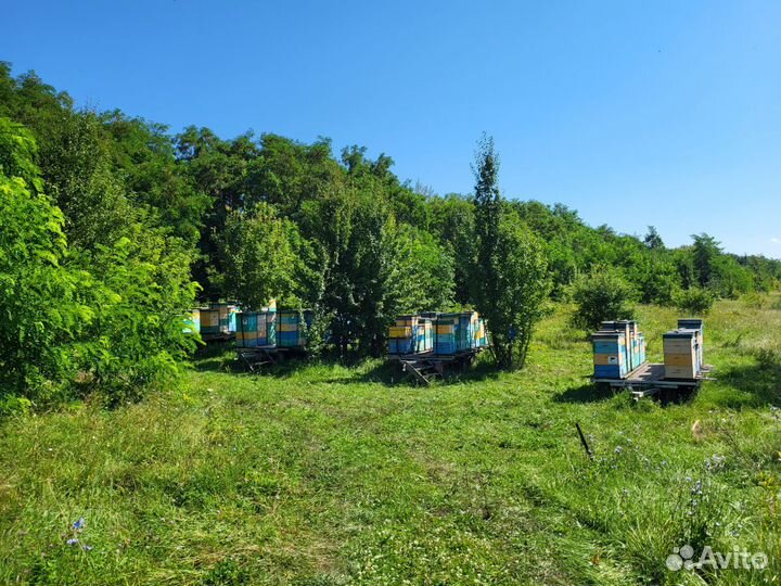 Подарочный набор крем мёда