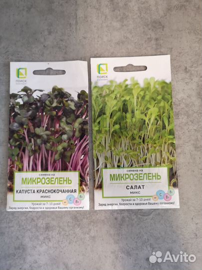 Микрозелень семена