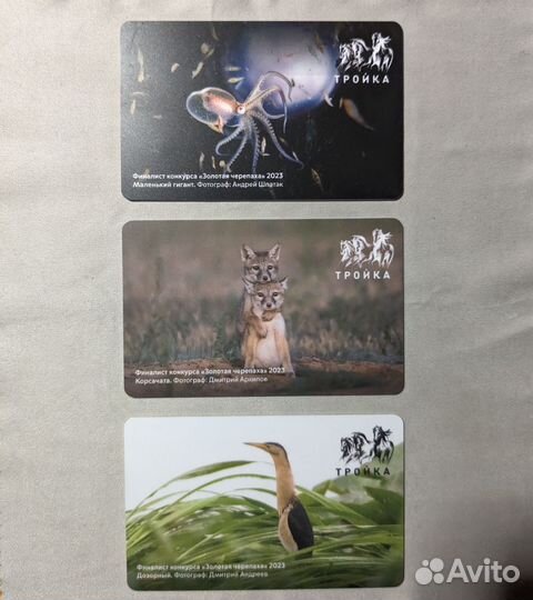 Карта Тройка золотая черепаха