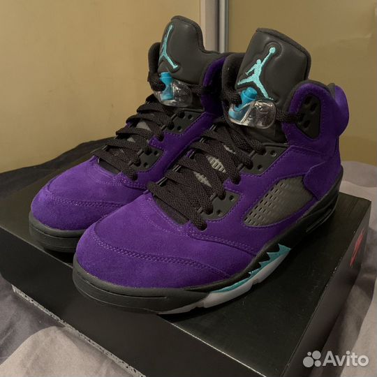 Grape 5 outlet