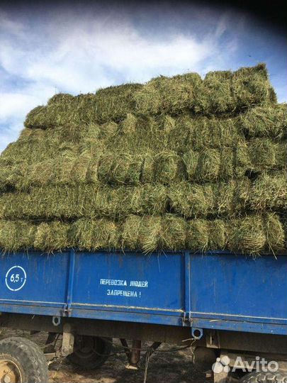 Сено в тюках