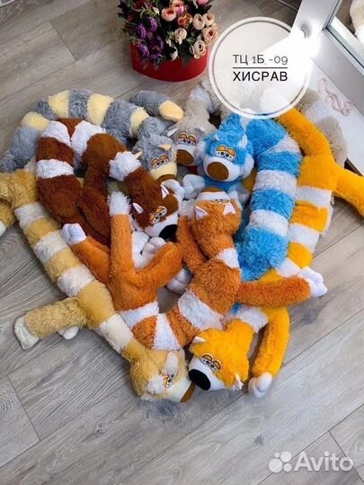 Кот сосиска. Доставка бесплатная