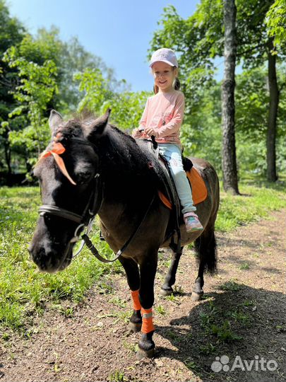 Катание на лошадях, фотосессии, праздники