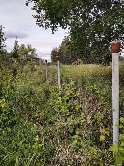 Участок 15 сот. (ИЖС)