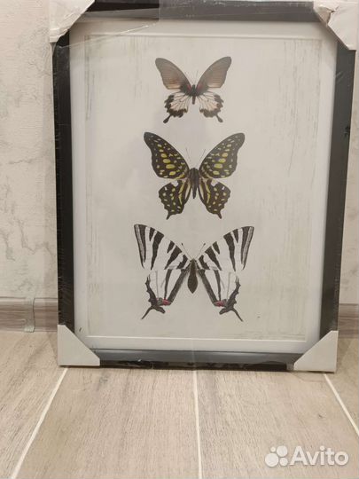 Картина-постер 40 на 50,новый.Бабочки