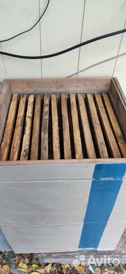 Продам пчелиные улья