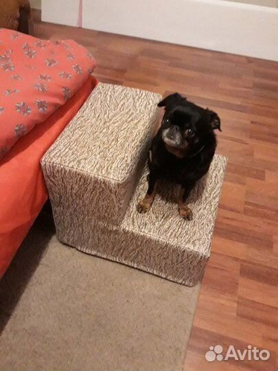 Ступеньки для собак