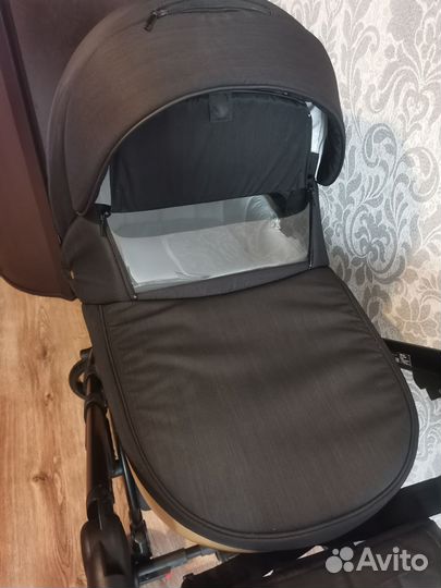 Коляска Adamex Cortina 2 в 1