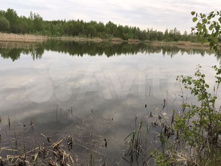 Участок 6,6 сот. (СНТ, ДНП)