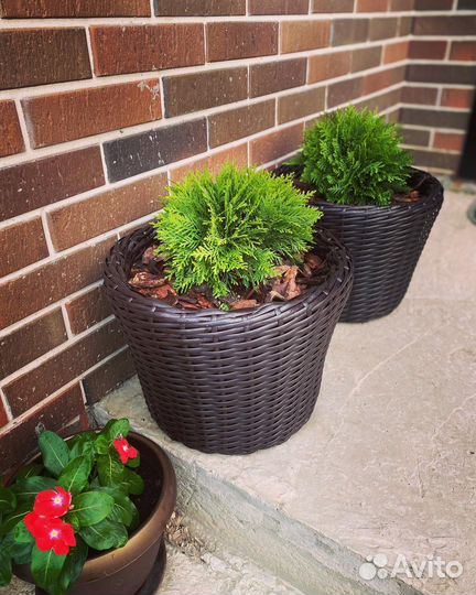 Кашпо для цветов