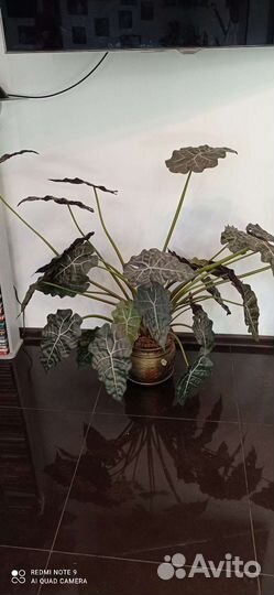 Искусственные цветы