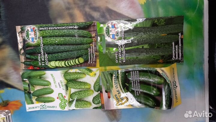 Семена огурцов