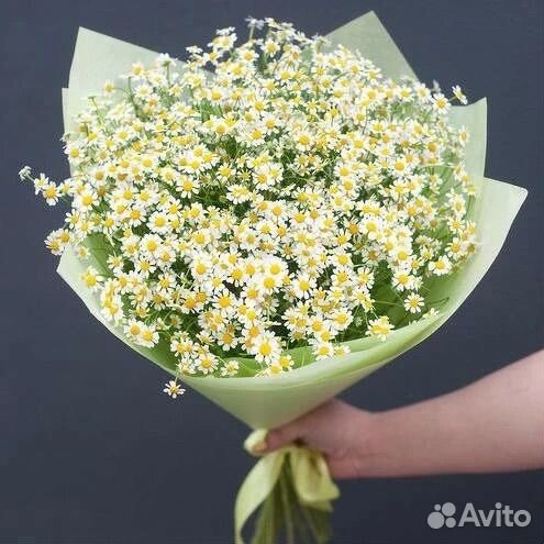 Букеты из ромашек