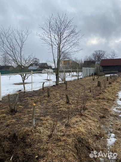 Аренда Мини-Экскаватора