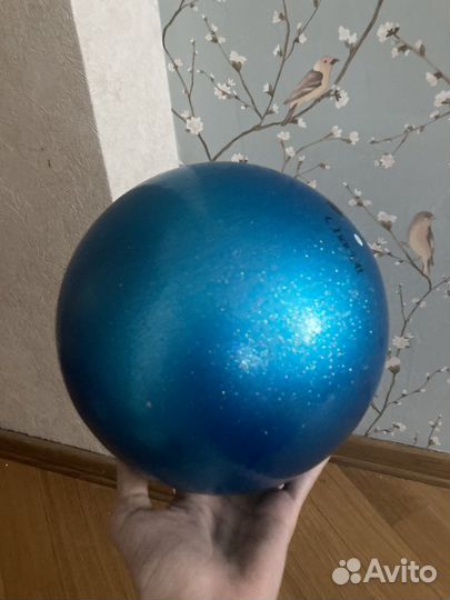 Гимнастический мяч