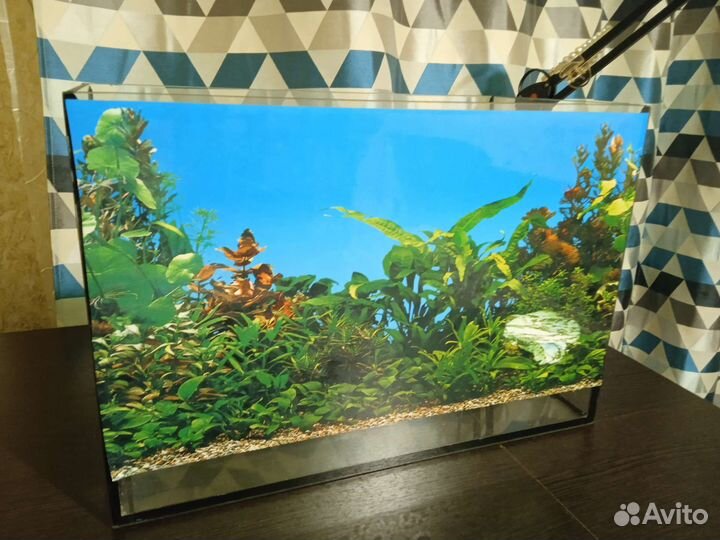 Аквариум
