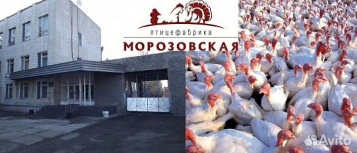 Упаковщики фасовщики с ежедневной оплатой