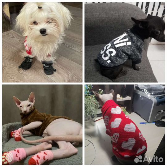 Одежда для собак и кошек