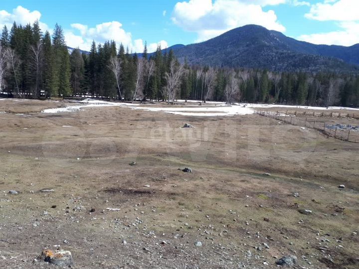 Участок 20 сот. (ИЖС)