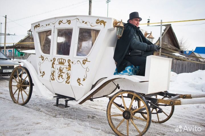 Карета для лошади