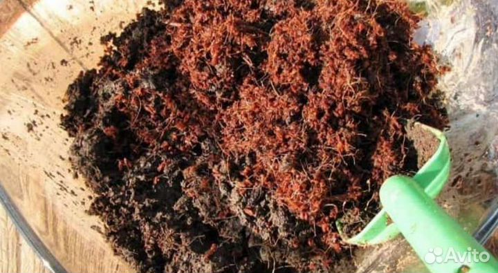 Кокосовый субстрат