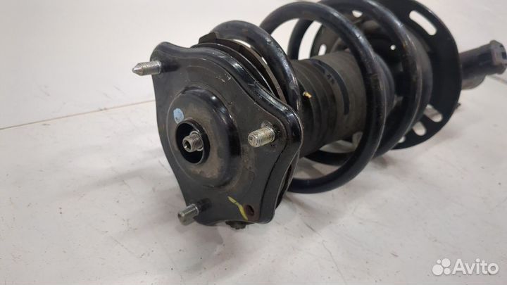 Амортизатор подвески правый передний Honda Accord 10