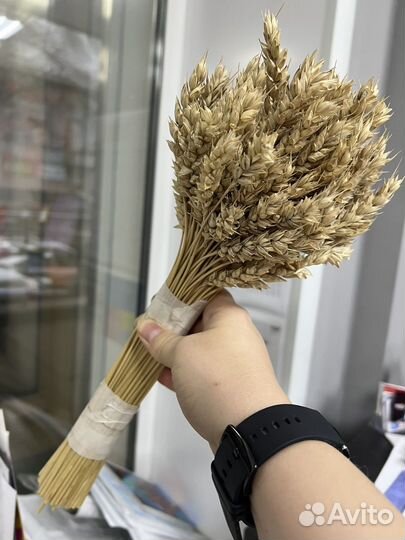 Букет из сухоцветов