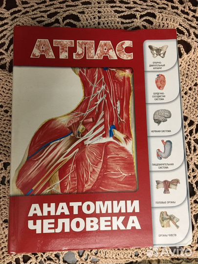 Атлас анатомии