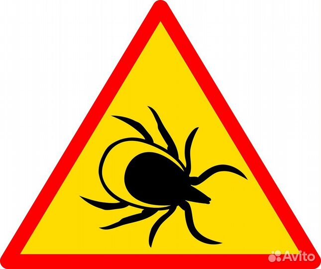 Обработка от клещей, тараканов,клопов и др