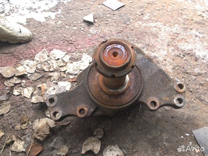 Поворотный кулак Man Neoplan