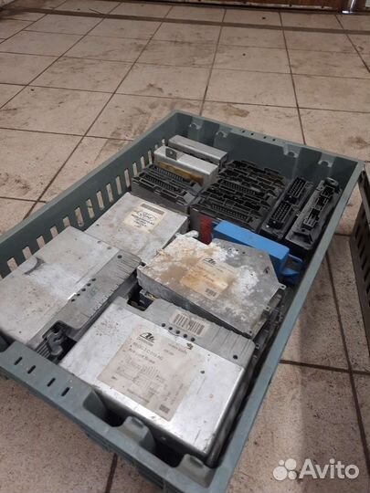 Эбу форд скорпио сиерра