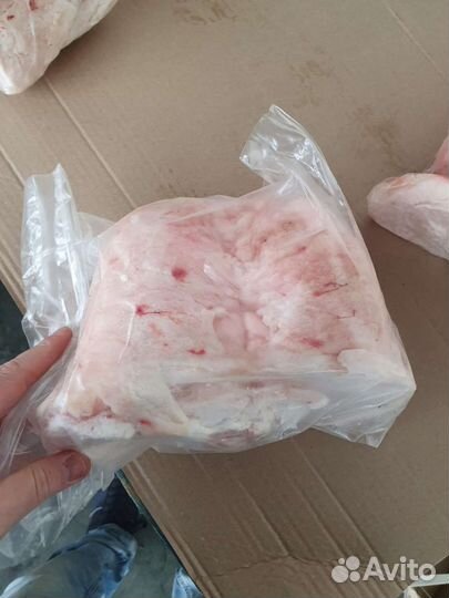 Мясо баранины курдюк