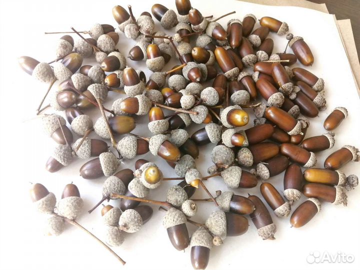 Набор для флориста