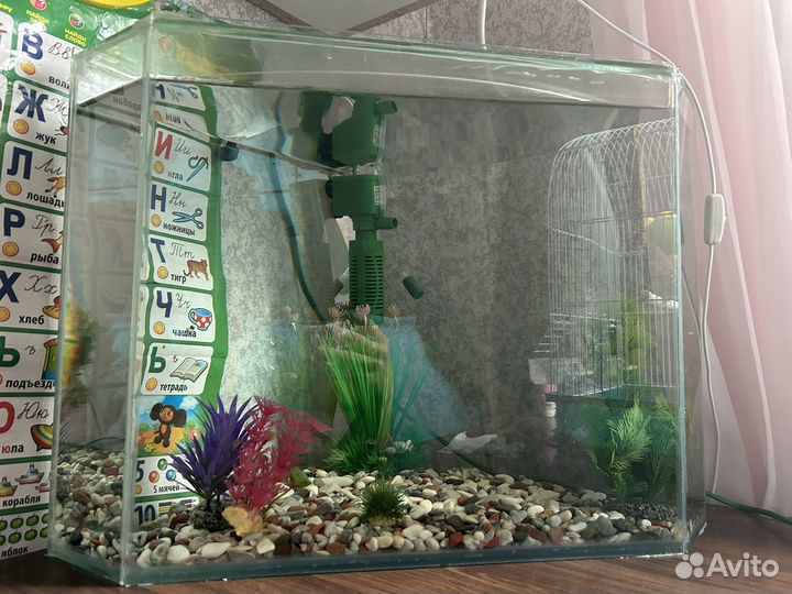 Аквариум