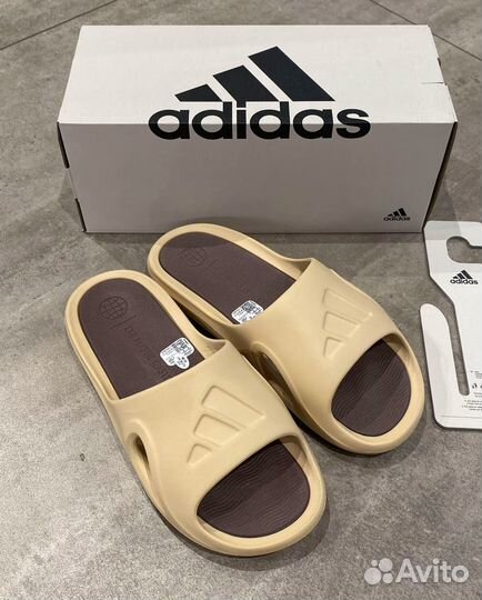 Сланцы Adidas Adicane оригинал