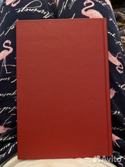 Книга стартап Гай Кавасаки