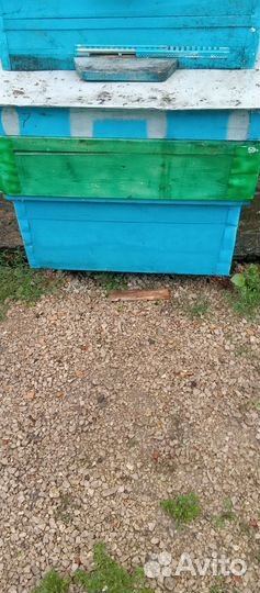 Продам ульи для пчел