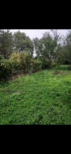 Участок 8 сот. (ИЖС)