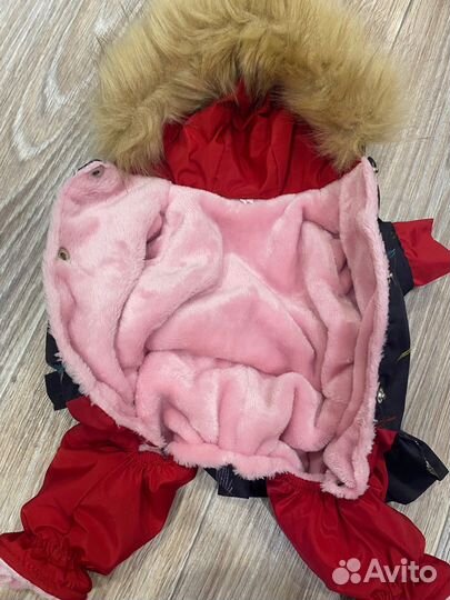 Костюм для собаки зимний