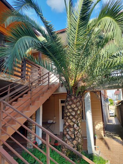 1-к. квартира, 40 м², 2/2 эт.