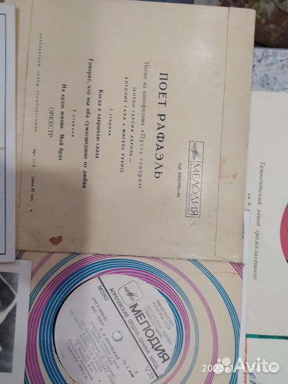 Виниловые пластинки