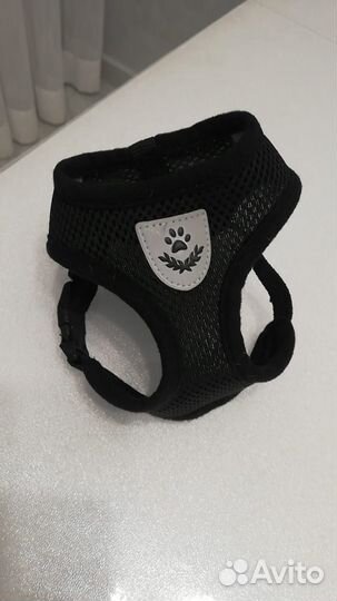 Шлейка, игрушки для кота