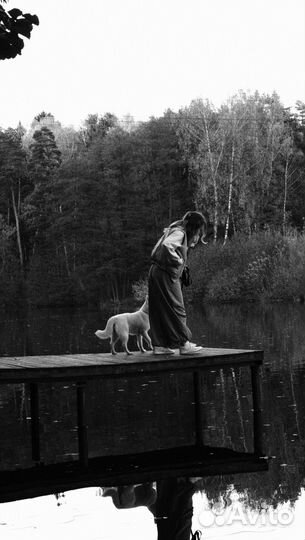 Фотограф, видеомейкер reels