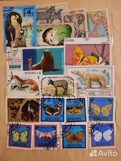Почтовые марки мира